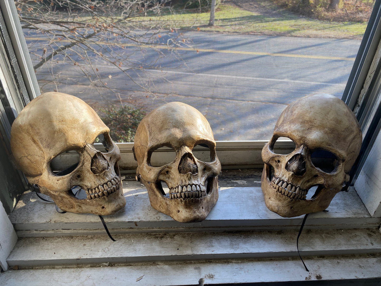 Made to Order! Human Skull Mask, Cosplay Skull, Skull, Full Face Mask, articulated jaw, Moving Jaw Mask, fantasy, horror